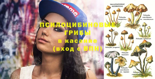 мдма Белокуриха